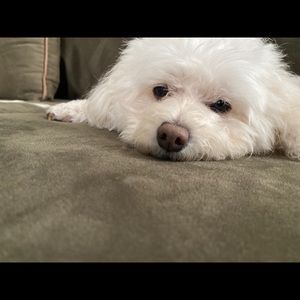 Meet your Posher, Lynn